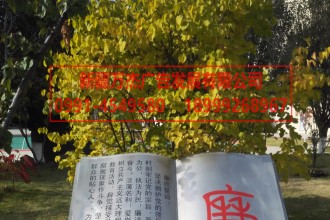 景觀(guān)造型 文化